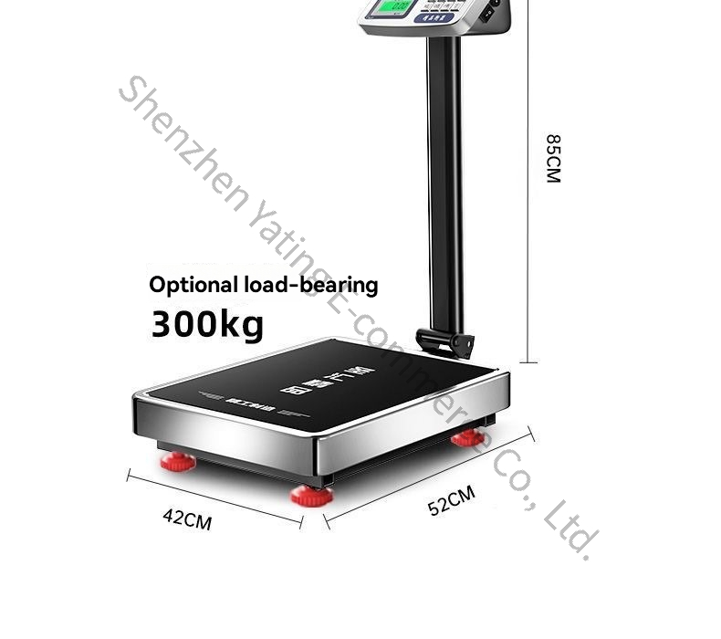 Bilancia Elettronica da Cucina - Kitchen Scale Precise recensione e prezzo