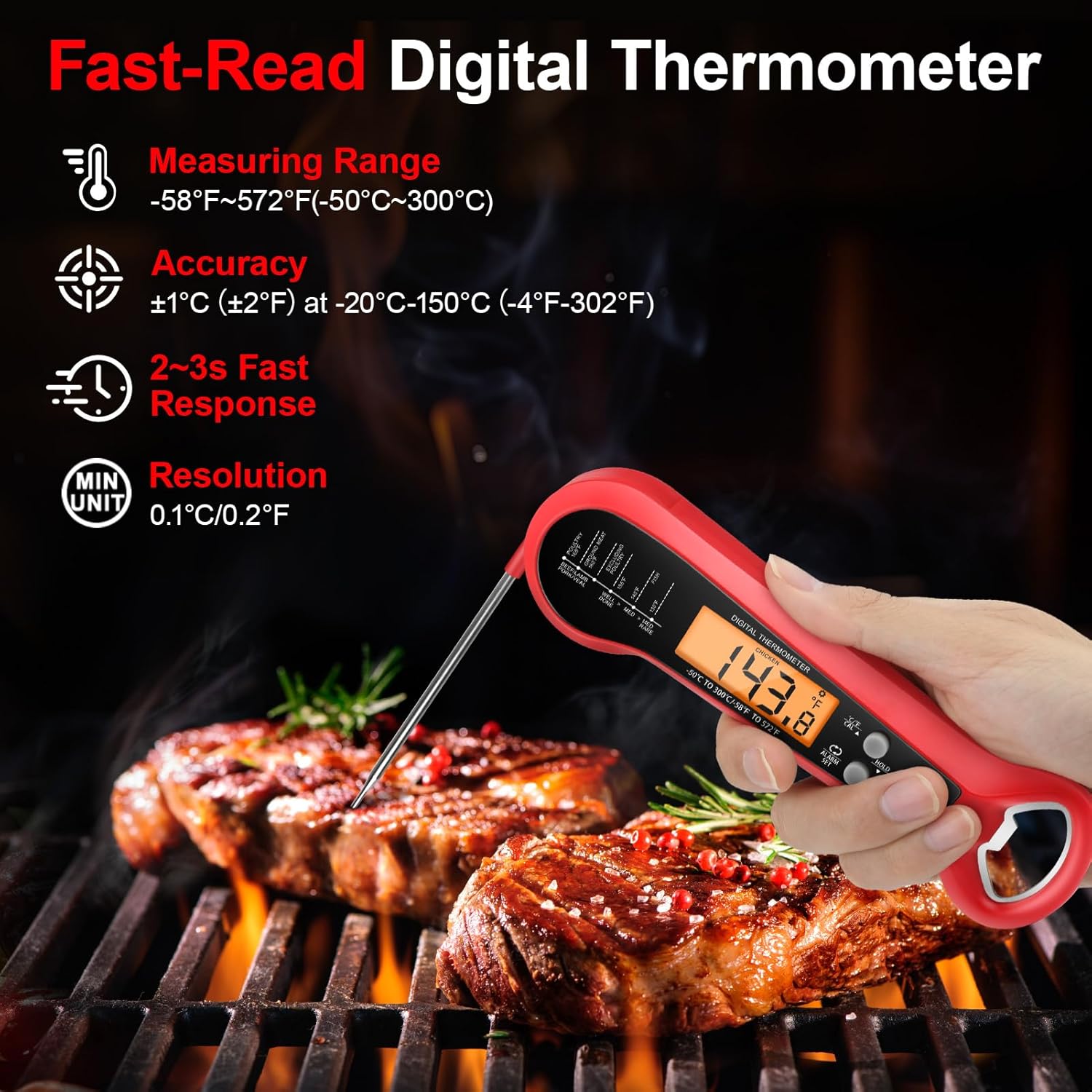 Termometro Professionale per C - Kitchen Baking Utensil recensione e prezzo